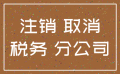 公司注销税务清算权益的公司
