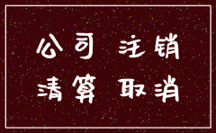 公司不注销需要多少钱