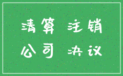 注销投资有限公司会议纪要