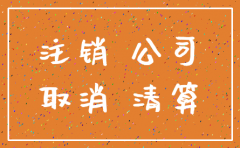 小注销公司流程及费用