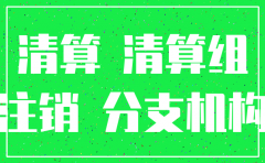 分公司注销文件说明怎么写