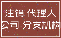 个人注销公司代理合同