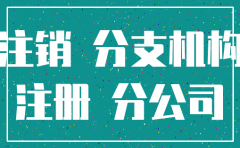 分公司注销合并到总公司程序