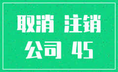 公司注销去哪办理