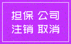 用已注销的公司担保