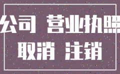 有限公司 未营业 注销
