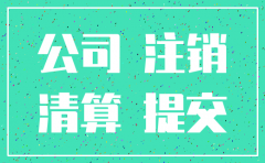法人 法院 注销公司账户