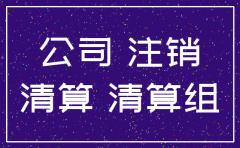 临沂有限公司注销流程