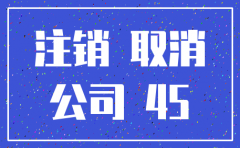 公司注销后多长时间查不到了