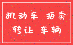 分公司注销后车牌过户公司吗