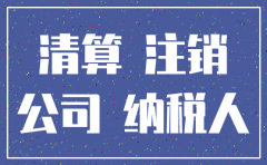 公司注销税务清算表怎样填