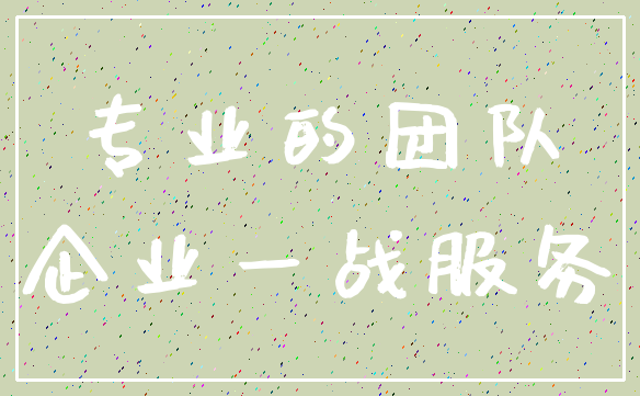 专业的团队_企业一战服务