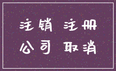安徽简易注销公司流程及资料