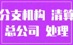 分公司注销怀孕的应该怎么处理