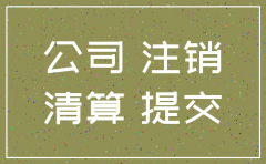 公司未产生业务注销承诺书