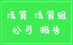 公司注销清祘报告怎么写