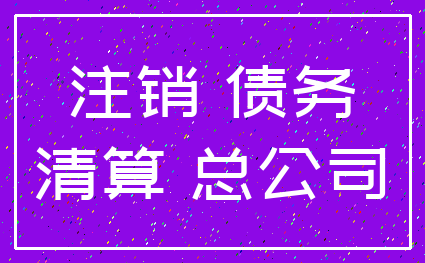 注销 债务_清算 总公司