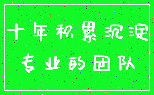 十年积累沉淀_专业的团队