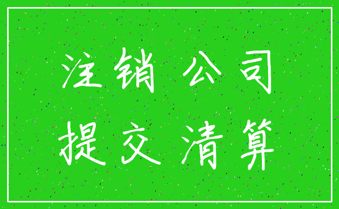 注销 公司_提交 清算