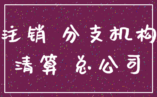 注销 分支机构_清算 总公司