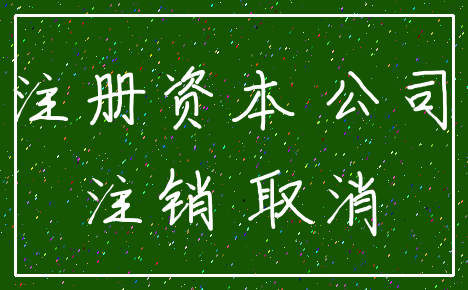 注册资本 公司_注销 取消