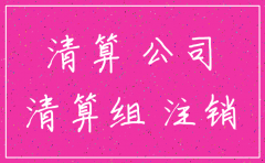公司清算注销服务方案