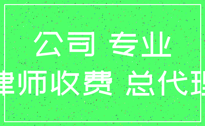 公司 专业_律师收费 总代理