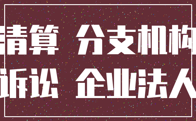 清算 分支机构_诉讼 企业法人