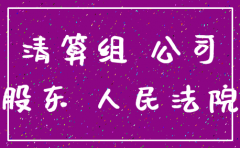 公司 注销 股东失联