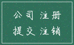 申请暂不注销公司