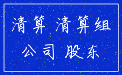 注销公司纳税人自查清算说明