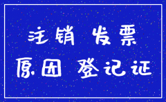 公司注销的理由怎么写