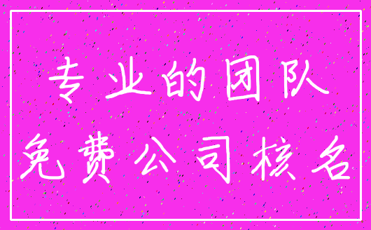 专业的团队_免费公司核名