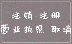 分公司注销变更函