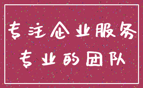 专注企业服务_专业的团队