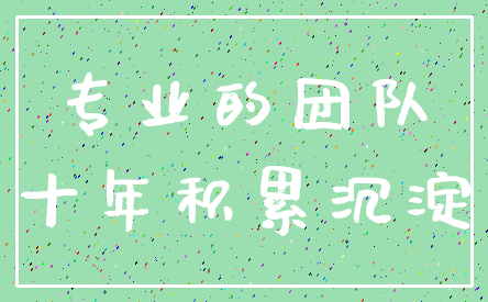 专业的团队_十年积累沉淀
