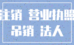 法人 注销 公司