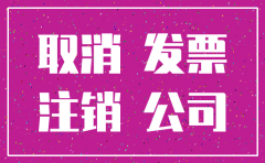 注销公司自备当季财务报表