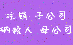 母公司能注销控股子公司吗