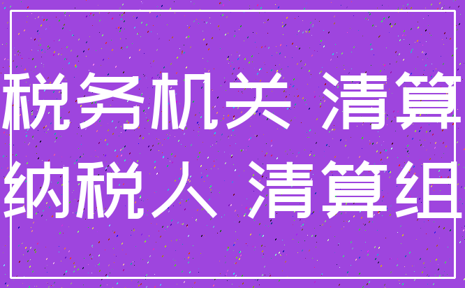 税务机关 清算_纳税人 清算组