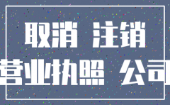 深圳注销公司清算组备案