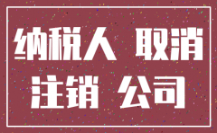 公司注销社保账户注销流程图