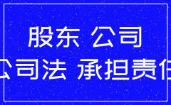 有限公司股东是公司被注销