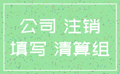 分公司注销 营业执照