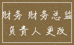 公司注销财务负责人更换
