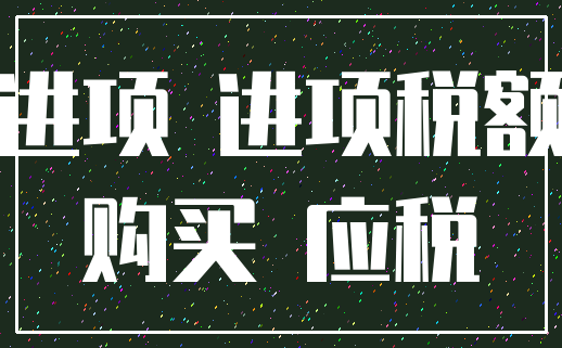 进项 进项税额_购买 应税