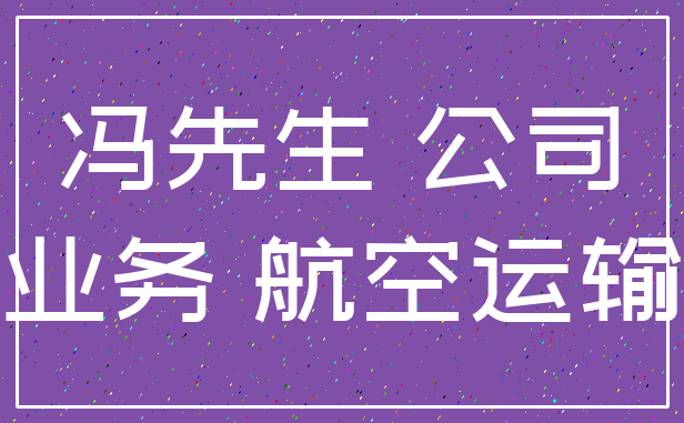 冯先生 公司_业务 航空运输
