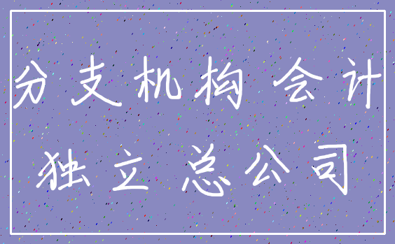 分支机构 会计_独立 总公司