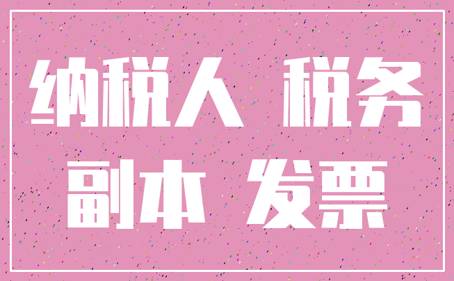 纳税人 税务_副本 发票