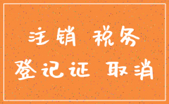 未实际运营的空壳公司注销